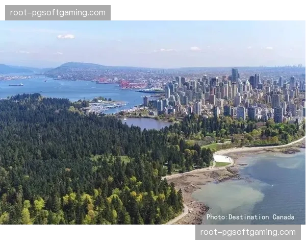 温哥华BC Place面临低温与降雨双重考验 肌肉热身效率恐受影响